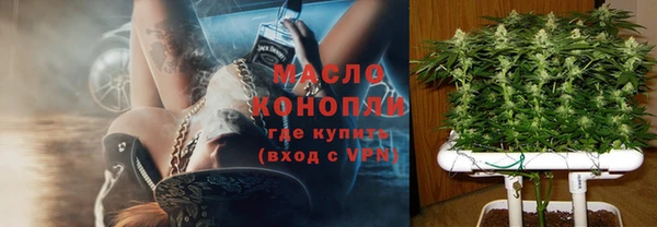 тгк Пересвет