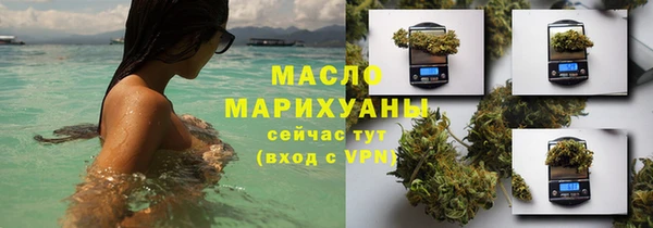 тгк Пересвет
