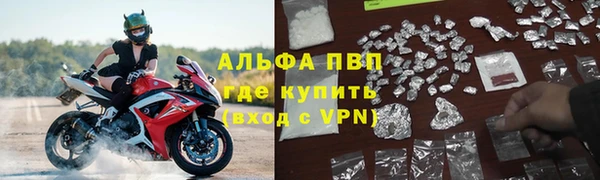 ГАЛЛЮЦИНОГЕННЫЕ ГРИБЫ Елабуга