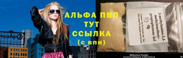 молекула духа Пестово