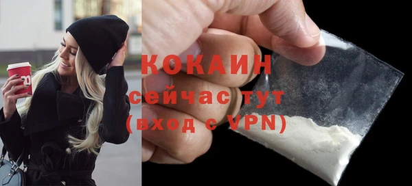 молекула духа Пестово