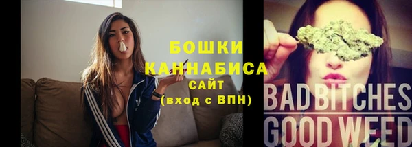 молекула духа Пестово