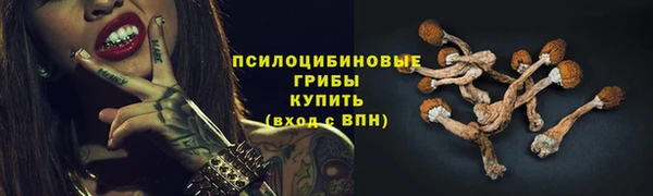 молекула духа Пестово