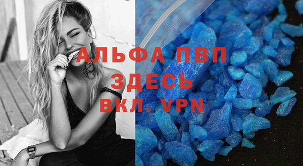 молекула духа Пестово