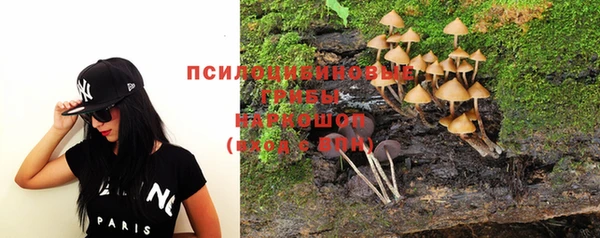 тгк Пересвет
