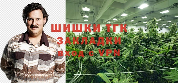 тгк Пересвет