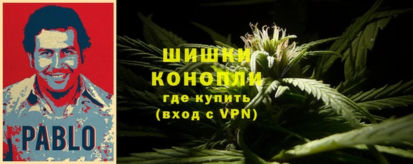 молекула духа Пестово