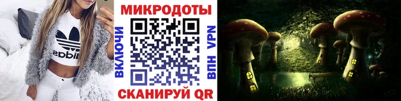 что такое   Аша  Галлюциногенные грибы GOLDEN TEACHER 