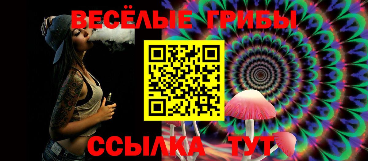 Псилоцибиновые грибы GOLDEN TEACHER Аша