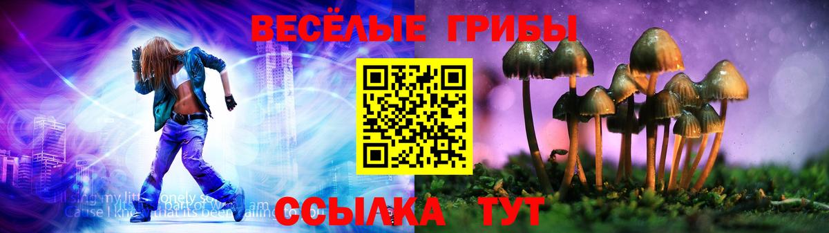 Аша  Галлюциногенные грибы мухоморы  Вход с VPN 