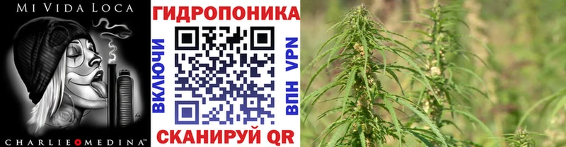 наркотики  Аша  Канабис планчик 