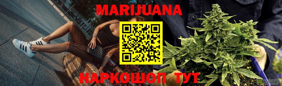 Конопля планчик Аша